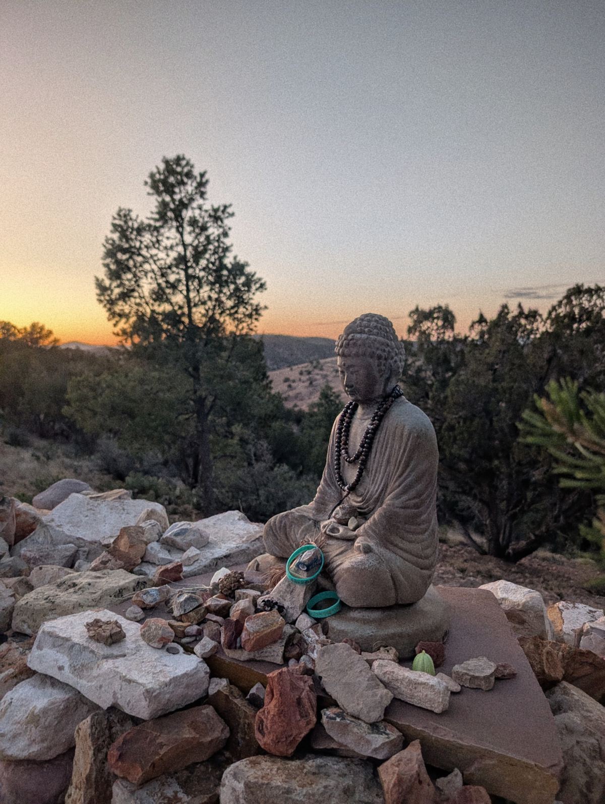 Статуя Будди Амітабги в ретрітному центрі Garchen Buddhist Institute